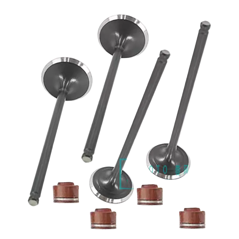 Intake Valve/Exhaust Valve suit CF300SR/CF300NK/CF250NK/CF250SR FUN