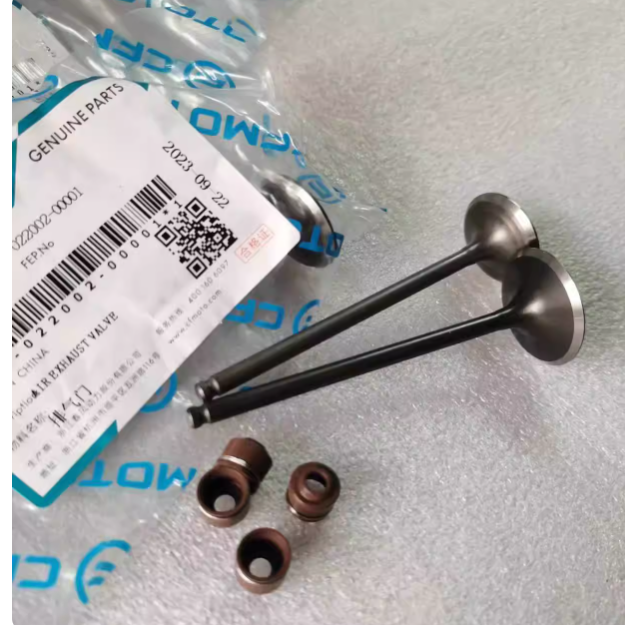 2pcs Exhaust Valves suit CF250SR/CF300SR code is 0DM0-022002-00001