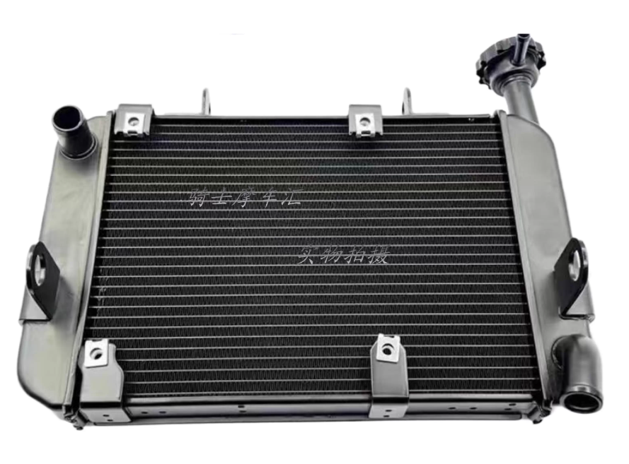 Radiator suit QJMOTOR250/SRK25R