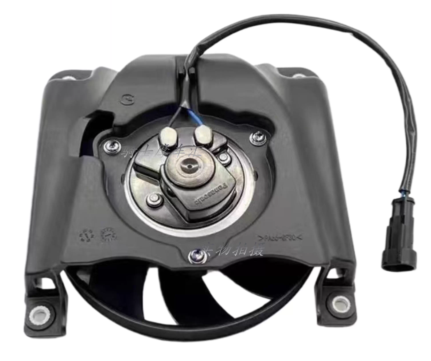 Cooling Fan motor suit QJ250/QJMOTOR 250/SRK25R
