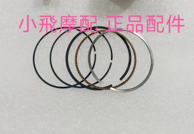 Piston rings suit QJMOTOR SRK250/SRK300S/QJ250GS-29E