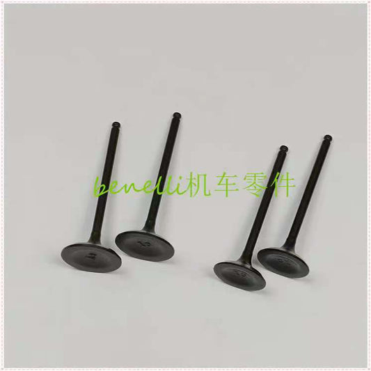 2pcs Intake Valves and 2pcs Exhaust Valves suit QJ250SRK/QJ250GS-29/29E/29F