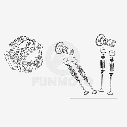 Ensemble de culasse pour CF250NK Le code OEM est 0DM0-0222B0