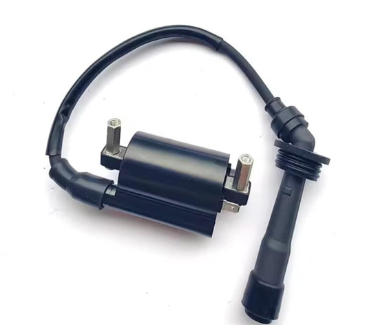Ignition Coil suit QJ MOTOR SRK300S