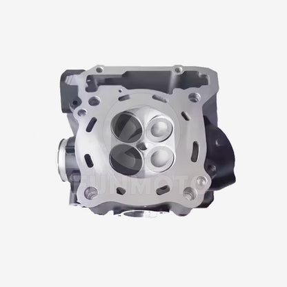 Cylinder Head Assy suit CF250NK OEM code is 0DM0-0222B0