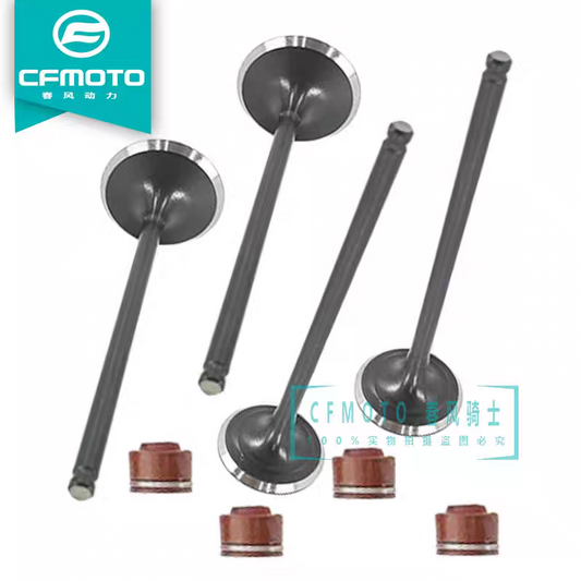 Intake Valve/Exhaust Valve and tensioner and gaskset suit CF250SR FUN
