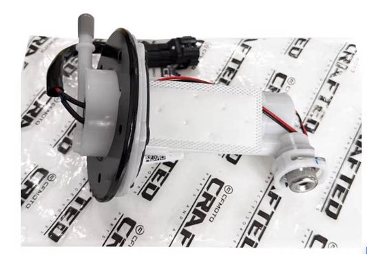 Fuel Pump and Fuel Filter suit CF450SRS code is 6AQV-150900-1002/805A-120004