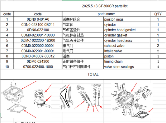 Cylinder/cylinder head/gaskets/valves/sealings/piston/rings/timing chain suit CF300SR