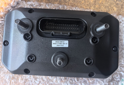 TFT dashboard suit CF450SR code is 6AQV-171000-1301