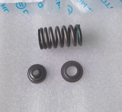 4pcs intake valve /sealings/springs/seats suit CF450NK