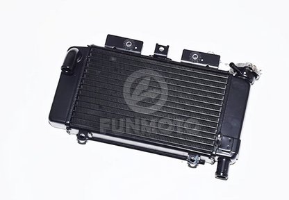 Radiator and cooling fan suit CF300SR/CF250SR