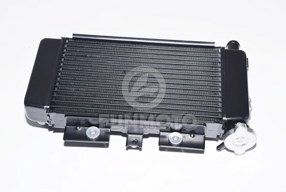 Radiator and cooling fan suit CF300SR/CF250SR