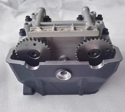 Cylinder head assy suit CF300NK/CF300SR/CF250SR/CF250NK code is 0DM0-0222B0