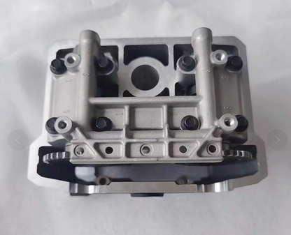 Cylinder head assy suit CF300NK/CF300SR/CF250SR/CF250NK code is 0DM0-0222B0