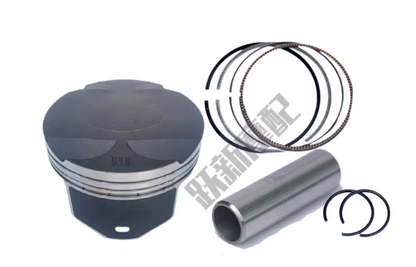 Piston/rings/pin/circlip and intake and exhaust valves suit QJMOTOR SRK300S/QJ250GS-29E
