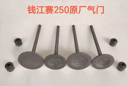 Piston/rings/pin/circlip and intake and exhaust valves suit QJMOTOR SRK300S/QJ250GS-29E