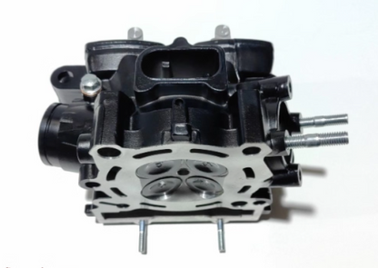 Cylinder Head assy suit Benelli250/QJSRK300S/QJ250GS-29E/29F/QJ SRK25R
