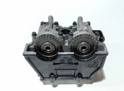 Cylinder Head assy suit Benelli250/QJSRK300S/QJ250GS-29E/29F/QJ SRK25R