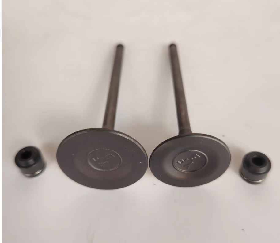 2pcs Intake Valves and 2pcs sealings suit QJ SRK300/SRK250/QJ250-29E