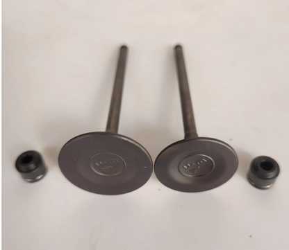 Cyliner head gasket/2pcs Intake Valves and 2pcs sealings suit QJ SRK300/SRK250/QJ250-29E