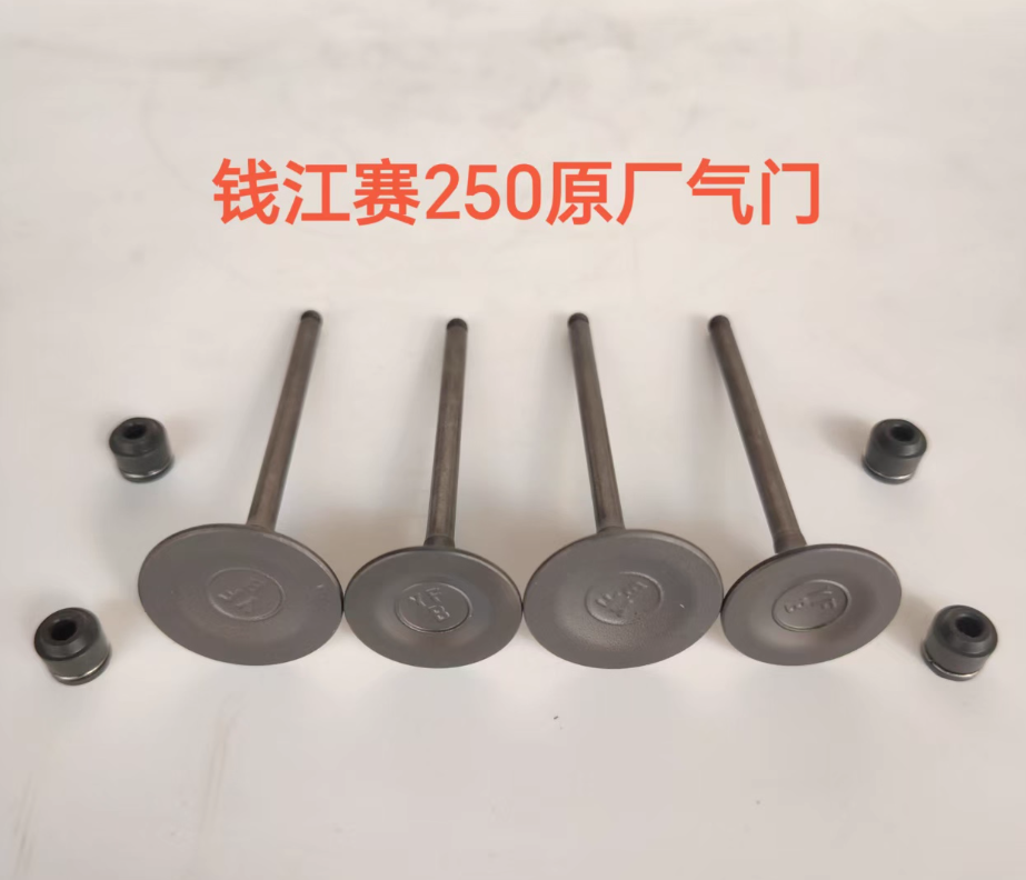 2pcs Intake Valves/2pcs exhaust valves and 4pcs sealings suit QJ SRK300/SRK250/QJ250-29E
