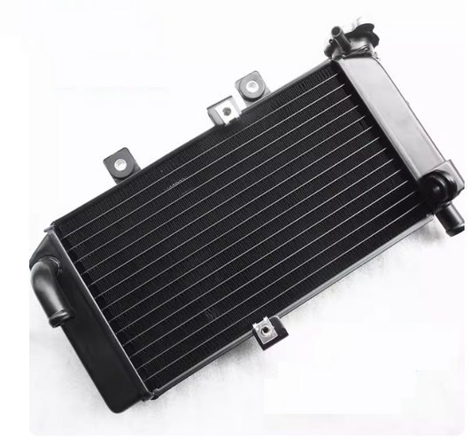 Radiator assy suit CF250NK code is 6KMV-181100-B000