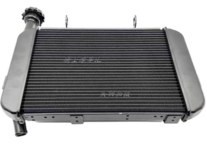 Radiator suit QJMOTOR250/SRK25R