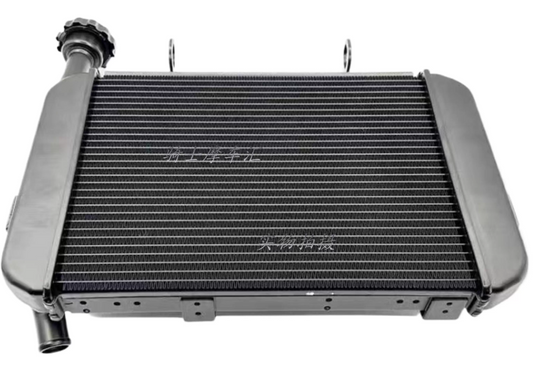 Radiator suit QJMOTOR250/SRK25R