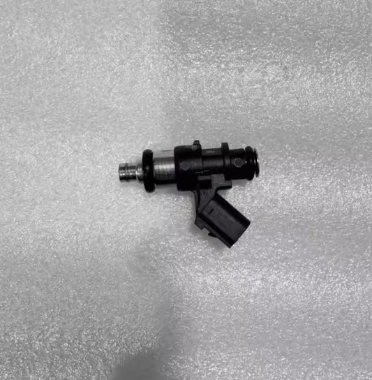 Injector suit QJMOTOR SRK300S