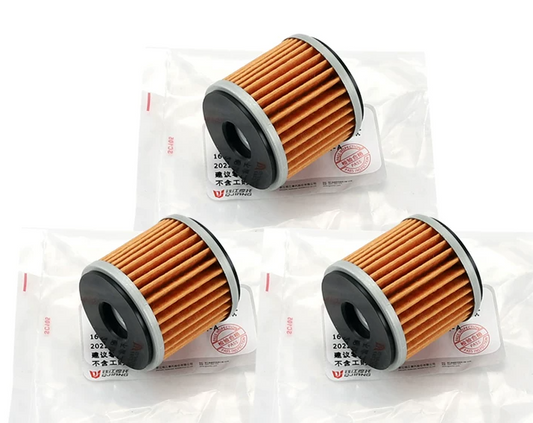 30pcs oil Filter suit SRK250/QJMOTOR