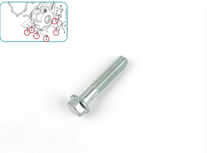 9 pcs bolts suit CF250NK/CF300NK/CF250SR/CF300SR engine left side cover 0010-060012-0010