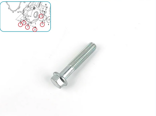 9 pcs bolts suit CF250NK/CF300NK/CF250SR/CF300SR engine left side cover 0010-060012-0010