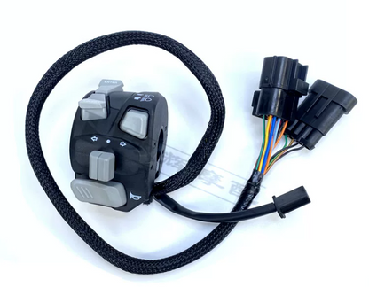 Front Left footpedal and Left Handle Bar Switch suit QJMOTOR 250/QJ 250-29E