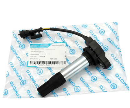 Ignition Coil suit CF800NK code is C90039006100
