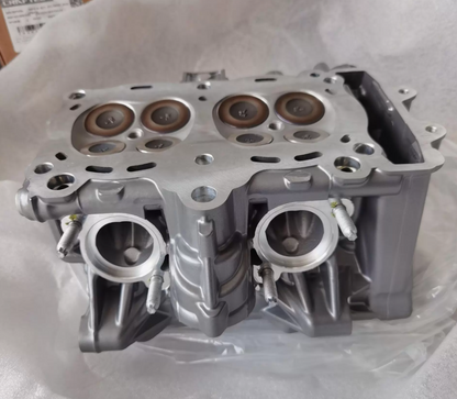 Cyliner Head Assy suit CF800NK/CF800MT code is C9003609900024