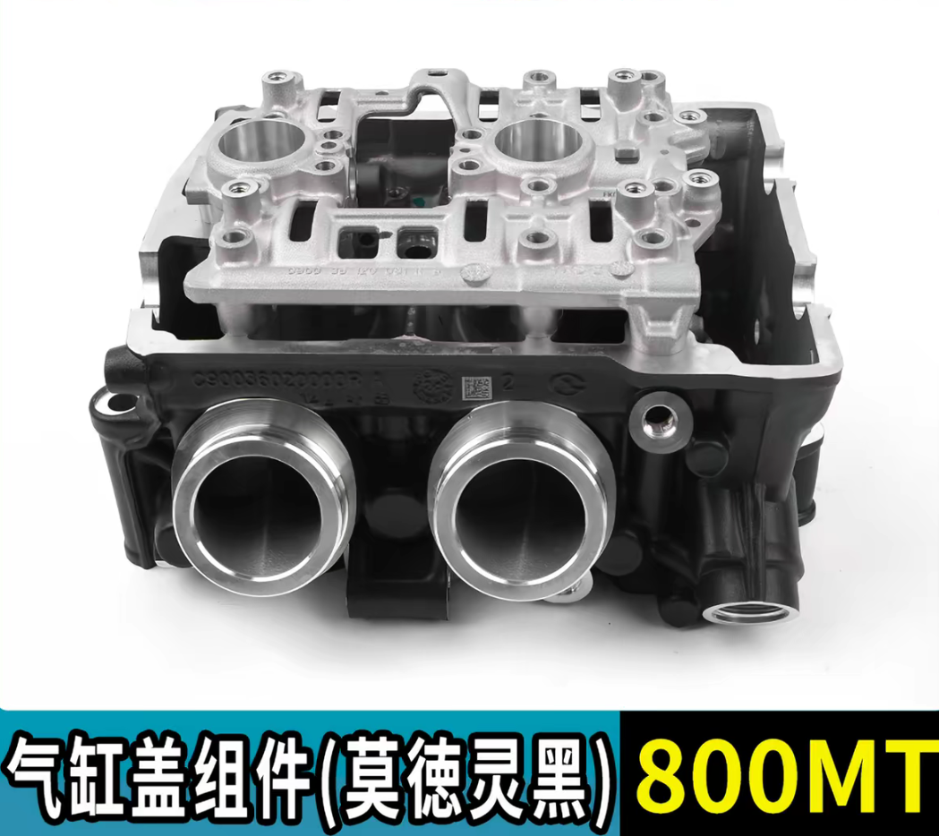 Cylinder head suit CF800MT code is C90036020100FBP Black