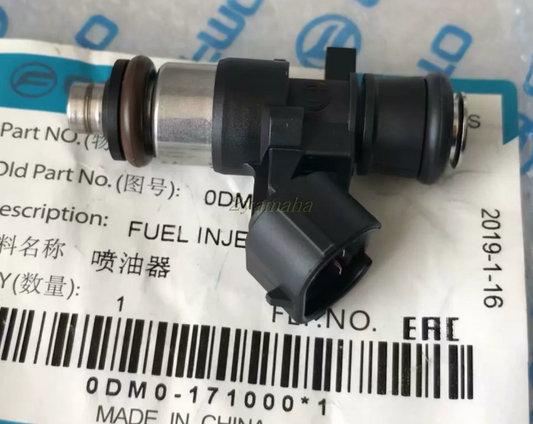 Injector suit CF300NK/CF250NK/CF300SR/CF250SR code is 0DM0-171000
